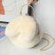 010Plush Bag Female Oblique Fashion Crossbody Shoulder Bag Lovely Chain Women Handbag Autumn Winter Rabbit Ear Clip Mouth Bag