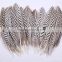 wholesale natural feather pheasant feathers sale for party trims
