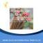 High quality wooden HB Pencils