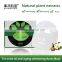 Tea Seed Oil Face Mask Replenishment Oil Refreshing Pores Acne Sink Care Facial Mask