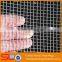 Shuolong Factory 304 200 micron stainless steel wire mesh