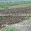Soil Preparation Harrow Machines Tandem Disc Harrow