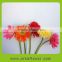 Wide varieties factory direct types of fresh cut flowers of gerbera