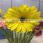 Fresh Cut Flower Premium Gerbera Flower With Various Colors For Wholesale