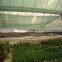 agriculture mesh/craft plastic netting /agriculture use plastic net made in china