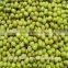 heilongjiang green mung beans ( food grade)