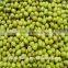 China heilongjiang green mung beans ( food grade)                        
                                                Quality Choice