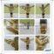 3/4"Agricultural Full Circle Brass Sprinkler