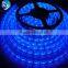 Blue LED Strip Light With SMD 5050/3528/3014/2835/5630