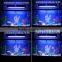 Wireless IT5040 Aqua Led Aquarium Lights for Saltwater Reef Tank