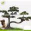 outdoor decoration enviroment friendly artificial pine tree in stock