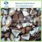 Frozen Shiitake Mushroom Whole and Quarter Cuts