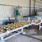 TJLD-20C Automatic Polishing Machine for Granite Slab