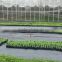 weed mat/ground cover/weed control mat/PP woven ground cover