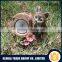 551862 CE ROHS Approval LED Solar Resin Light Garden Light