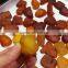 new arrived natural baltic raw amber stone for sale