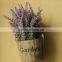 Wholesale Wooden Cask Hanging Plant Bonsai Decorative Bonsai Plant Sale