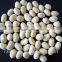 Chinese Shandong Province Origin Round Shape Blanched Peanut Kernels