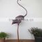 live iron ostrich for sale