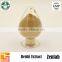 japan reishi in raw reishi mushroom for sell reishi mushroom