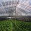 colorful sun shade netting