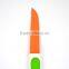 FDA LFGB Grade Hot sale popular paint spraying stainless steel knife paring