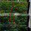 4-6mm rectangular tempered clear float glass for jalousie window
