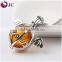 empty glass perfume bottle essential oil diffuser aroma locket pendant wholesale