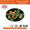 Shunlong plastic solar light for home decoration(indoors) mould