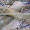 fresh water prawns