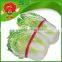 Chinese cabbage from China Spring brand cabbage