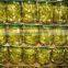 Best gherkins & pickled cucumbers in jar from Vietnam by HAGIMEX