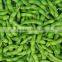 IQF Edamame Frozen Green Soy bean