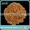 dried apricot kernel and apricot seed nut