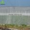 China factory UV resistant netting for fruit files anti insect net wholesale