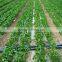 Irrigationg system, drip tape, surbface irrigation tape