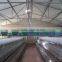 Best Selling Wholesale Poultry Layer Chicken Battery Cage for Kenya Farms