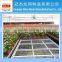 Hot dipped galvanized wire mesh for greenhouse