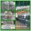 50*200mm China welded wire fence styles