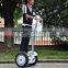 Promotional 350W two wheel standing electric chariot scooter for sale
