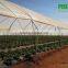 Tunnel 600 film cover low cost agricultural farming Galvanized Steel Frame green house easily assembled single or multi span