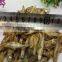 Freshwater dried fish