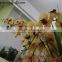China wholesale artificial baby orchid flower for wedding or home party decoration