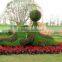 fake grass animal manufacture high color fastness UV/water proof artificial grass topiary