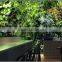 Green plants wall artificial
