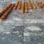 Filipino Fighting Arnis Kali Rattan Sticks Martial Arts Training 1" x 28" Fighting Sticks