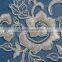2017 New food grade wedding lace applique for party dresses