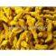 100% Organic gingembre extract/gingembre/gingembre powder