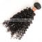 Unprocessed Kinky Curly Virgin Malaysian Hair Wholesale Malaysian Human Hair Weaves Curly Extension