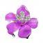 Rhinestone Rose Multicolor Beautiful Bride Wedding Brooches Pin